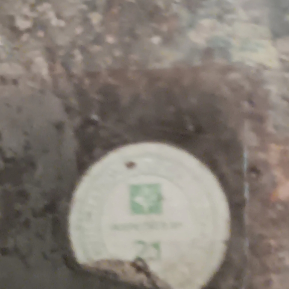 6 pc collectable silver plated  + 1 silver collector bell . - Picture 9 of 14